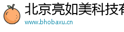 北京亮如美科技有限公司